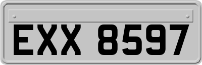 EXX8597