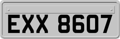 EXX8607