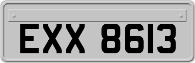 EXX8613