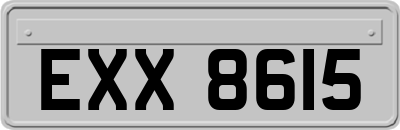 EXX8615