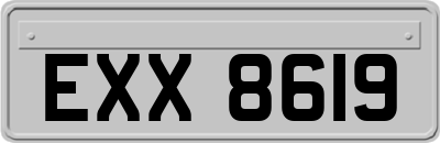 EXX8619