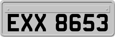 EXX8653