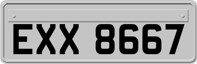EXX8667
