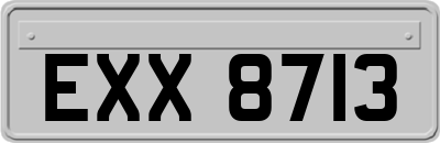 EXX8713