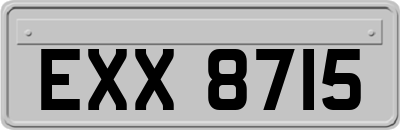 EXX8715