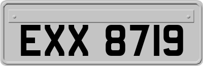 EXX8719