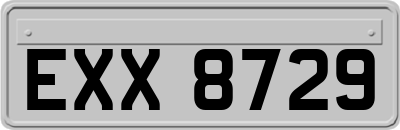 EXX8729