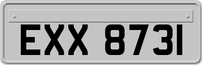 EXX8731