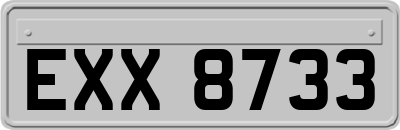 EXX8733