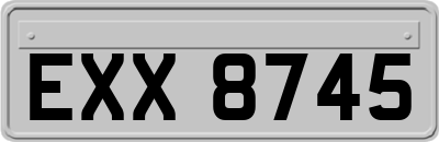 EXX8745