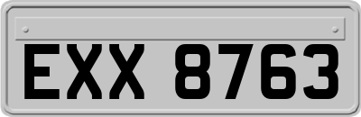 EXX8763