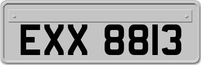 EXX8813