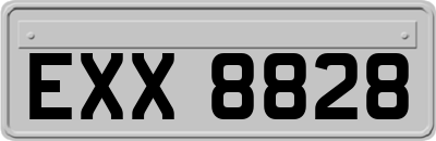 EXX8828