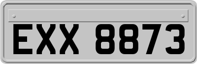 EXX8873