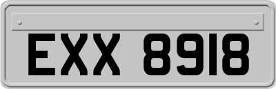 EXX8918