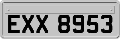 EXX8953