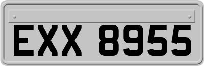 EXX8955