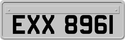 EXX8961