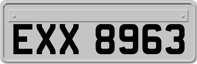 EXX8963