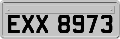 EXX8973