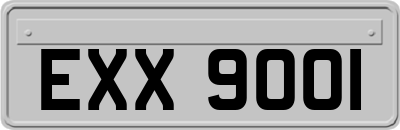 EXX9001