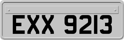 EXX9213