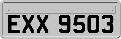 EXX9503