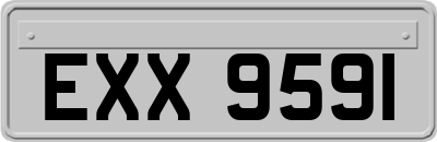 EXX9591
