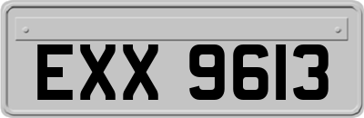 EXX9613