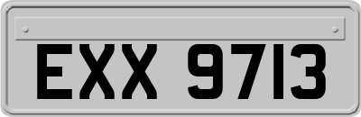 EXX9713