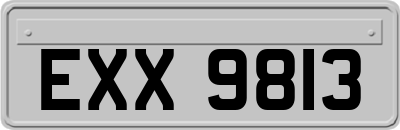 EXX9813