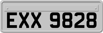 EXX9828