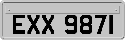 EXX9871