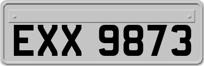 EXX9873