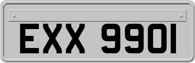 EXX9901