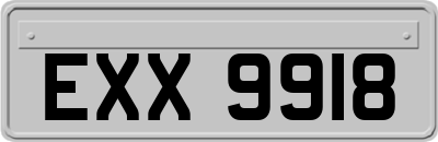 EXX9918