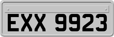 EXX9923