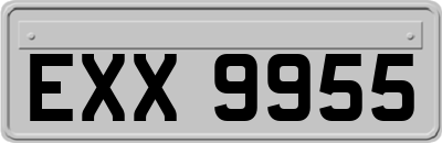 EXX9955