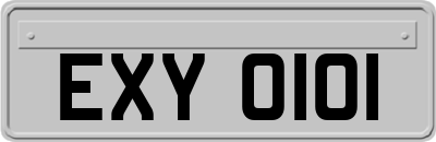 EXY0101