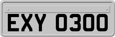EXY0300