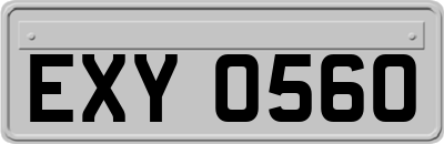 EXY0560