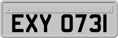 EXY0731