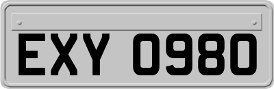 EXY0980