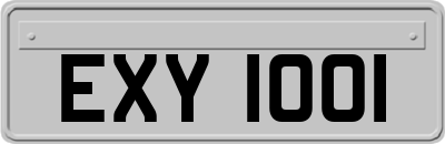 EXY1001