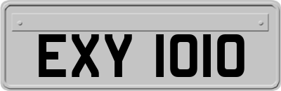 EXY1010