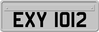 EXY1012