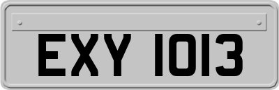 EXY1013