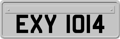 EXY1014