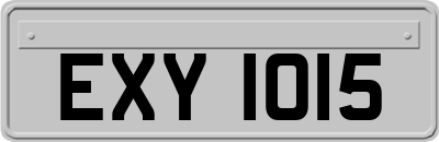 EXY1015