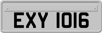 EXY1016